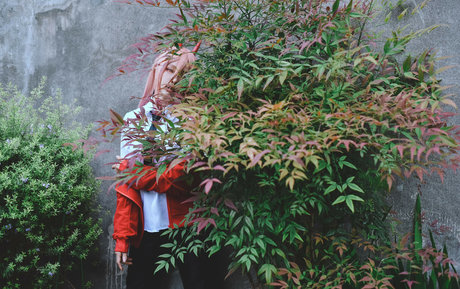 アジアの若者OnlyFans 美しいxxx 写真