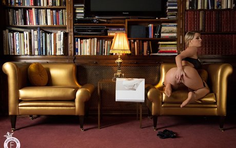 家族限定ファン ポルノ ギャラリー