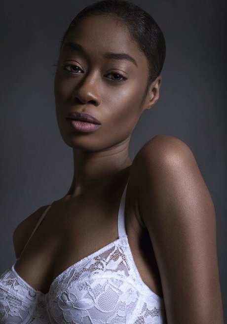 cebrena 限定スター アーカイブ