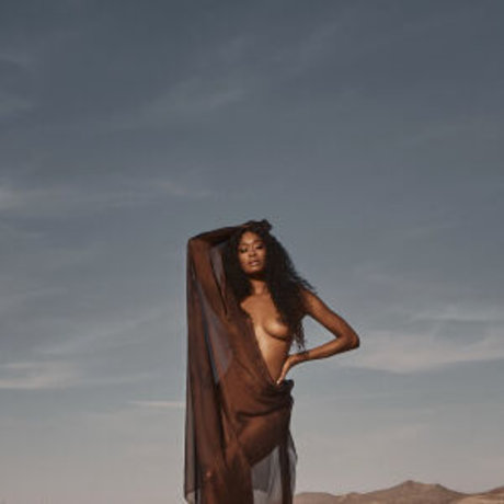 cebrena スター xxx 写真