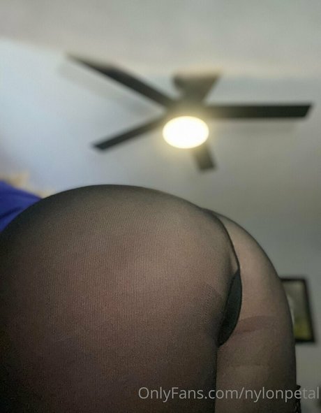 nylonpetal ポルノスター 画像