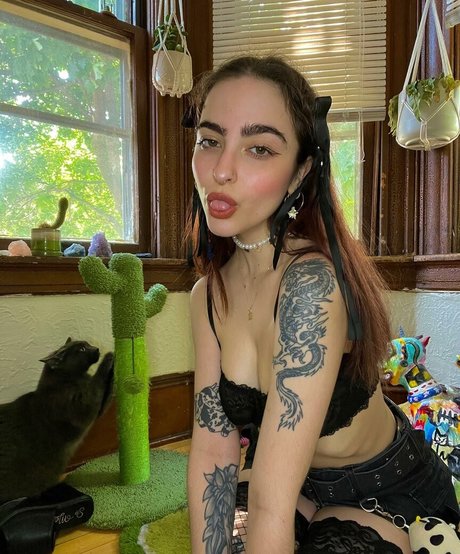 artbitch666 完璧なポルノスター 写真