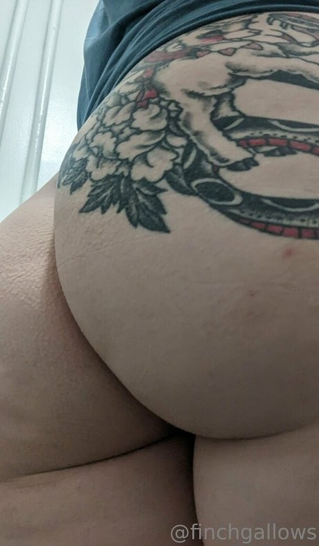 finchgallows アートスター 画像