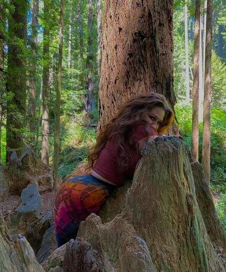 allnaturalaurora かわいいスター 写真