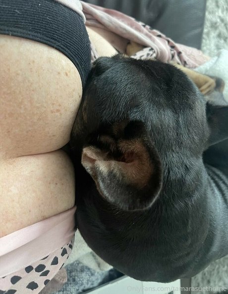 Tamara Sue Thorne HDスター 画像