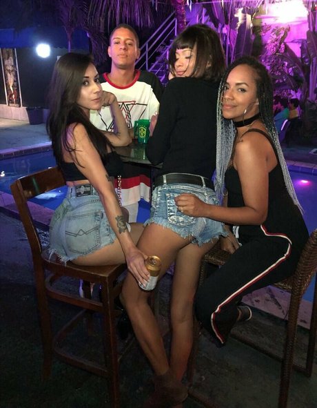 renatapalhanno HDモデル 画像