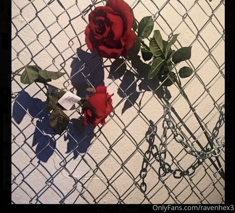 ravenhex3 ホットなスター 写真