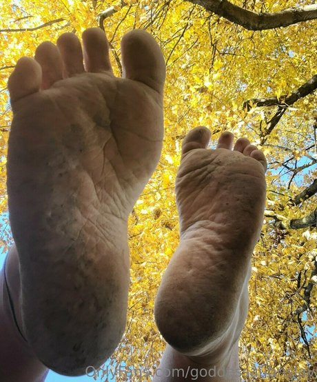 女性の筋肉オンリーファンズ 美しい裸 写真