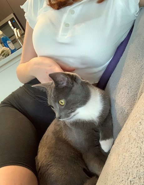 レズビアンの足OnlyFans セクシーヌード ギャラリー