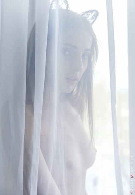 獣医OnlyFans 無料アダルト 写真