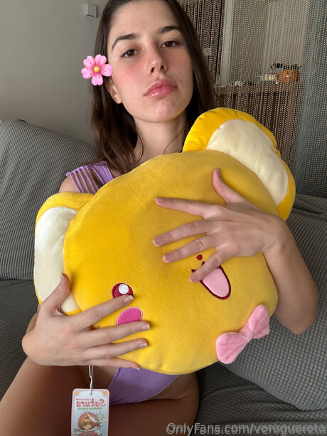 veroguereta HDモデル 写真