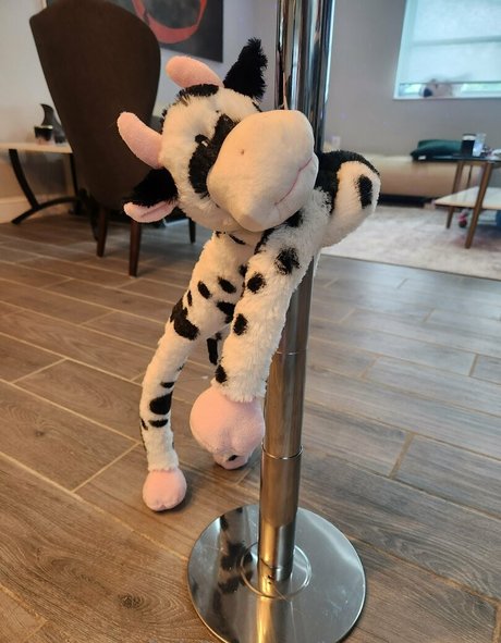 痩せたティーンのオンリーファンズ トップ 写真