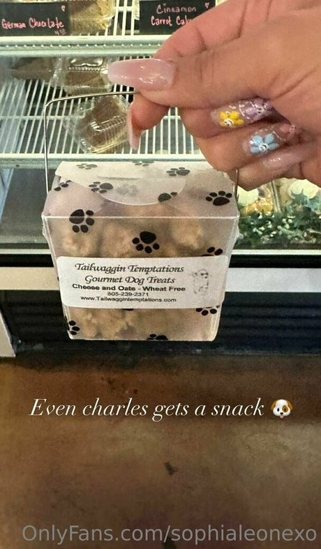 ロールプレイオンリーファン 美しい裸 画像