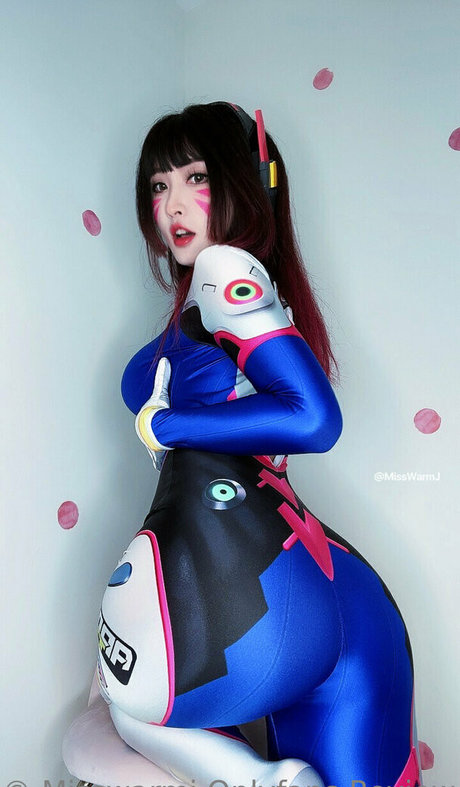 MissWarmJ HDモデル 画像