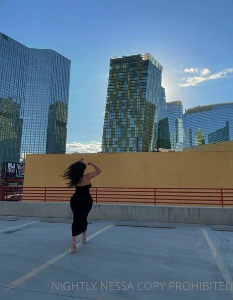 nessatnight アートポルノスター 画像