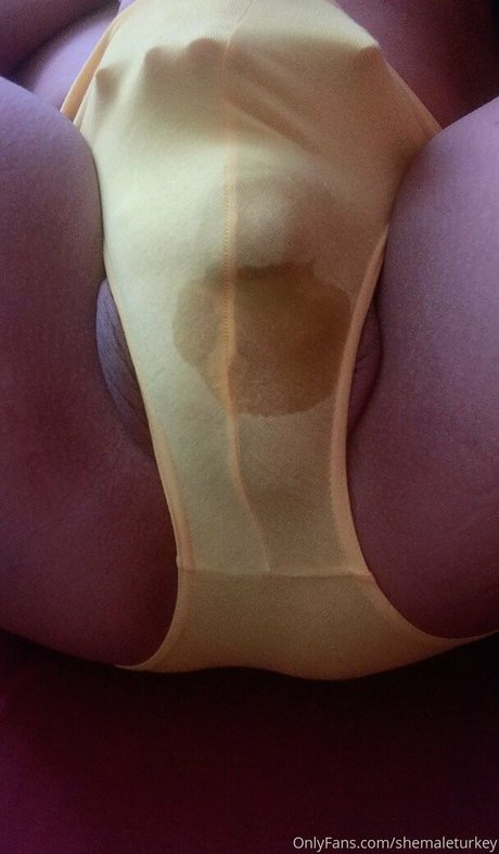 BBC PAWG オンリーファンズ 無料 画像