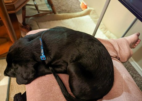 パフィーオンリーファンズ ヌード 画像