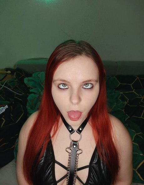 nidagonehot 限定モデル 画像