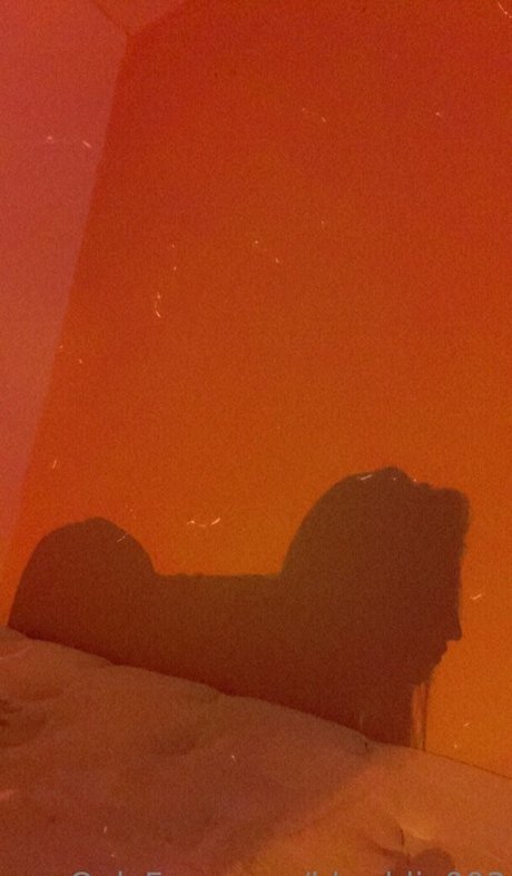 bbaddie003 スター 画像