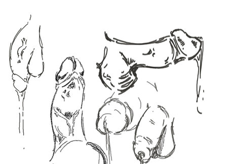 VIPヌードOnlyFans セクシー 画像