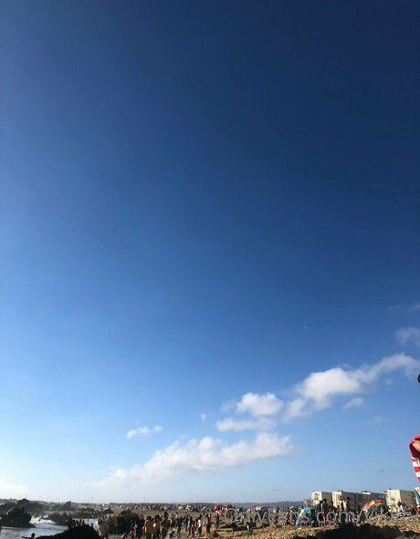 vikitty 無料スター ギャラリー