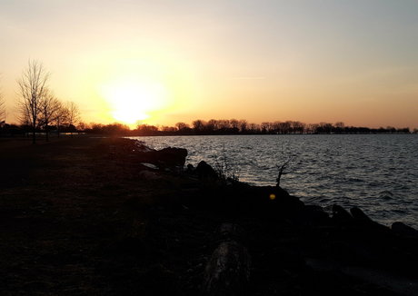 amaraveratrum 裸のモデル 画像