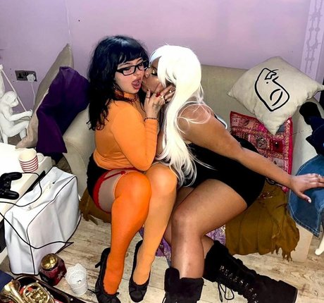 ナチュラルポーグオンリーファン トップ ギャラリー