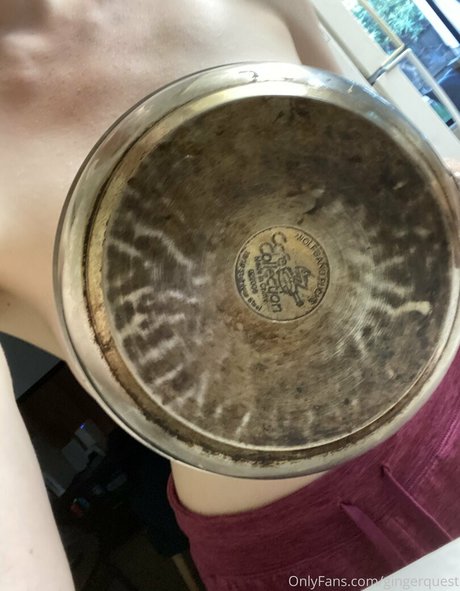 gingerquest 素敵なスター ギャラリー