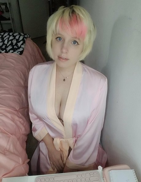 家族限定ファン 美しい 写真