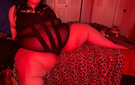 shellybobelly Bilder