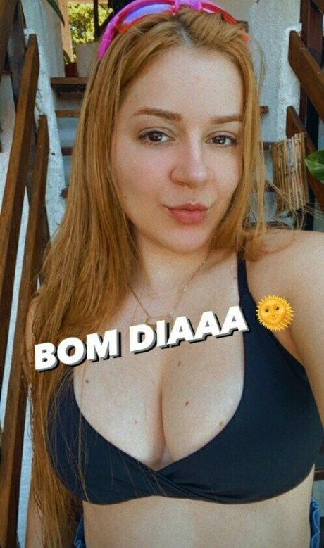 Laurinhafeer 独占スター 画像