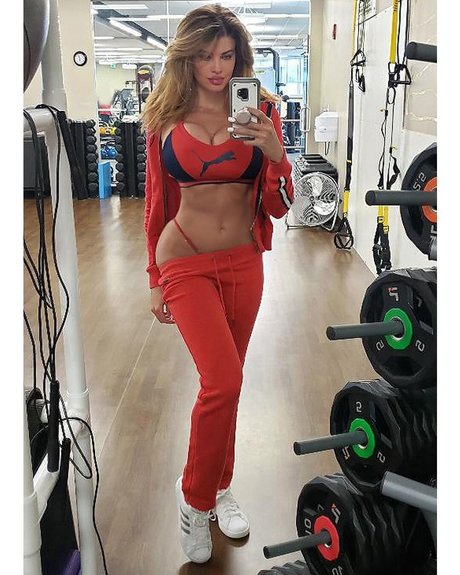 Dana Hamm 美しいモデル 画像