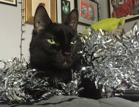 asmr ジンジャー オンリーファンズ トップ 写真