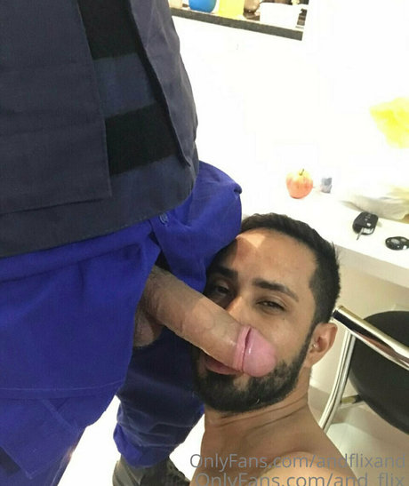 andflixand HDモデル 写真