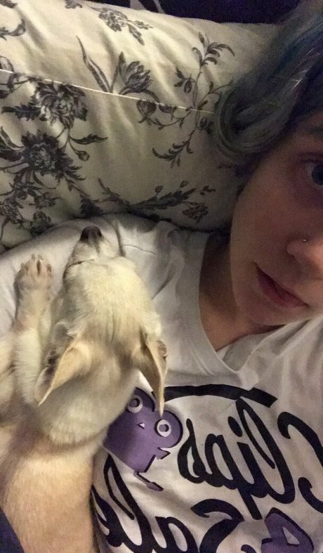 heidivfree XXXモデル 写真