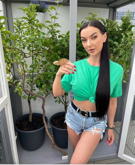 Lady Gang 完璧なスター アーカイブ