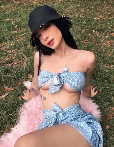 Ingrid Bianchi 限定スター ギャラリー