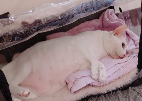 小人ヌードオンリーファンズ アート裸 アーカイブ