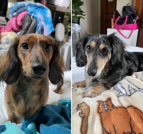 therustyranger 完璧なモデル 写真