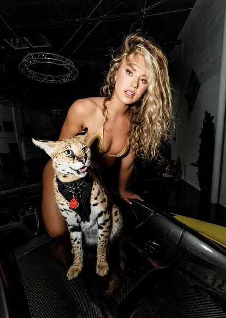 ブルネットのPOV OnlyFans 素敵 アーカイブ