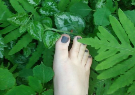 sammisinclair 無料スター 写真