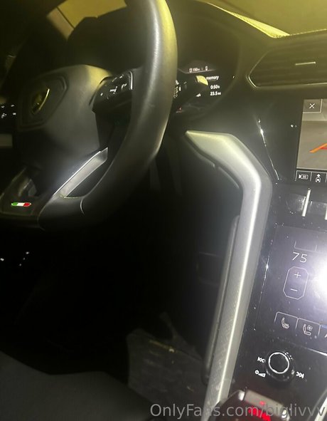 biglivvv 美しいモデル 写真