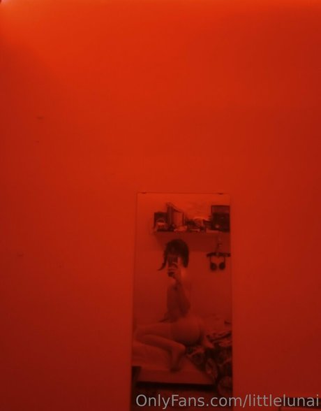 gayasslawren 高品質女優 アーカイブ