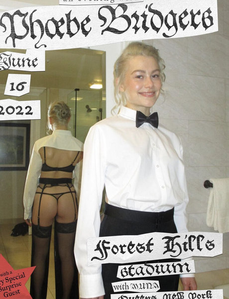 黒檀の猫オンリーファンズ アダルト無料 画像