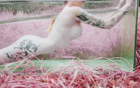 linamorrissey 高品質モデル 画像