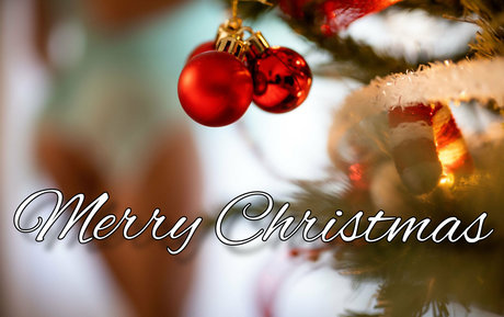 yogiibutt2 ポルノモデル ギャラリー