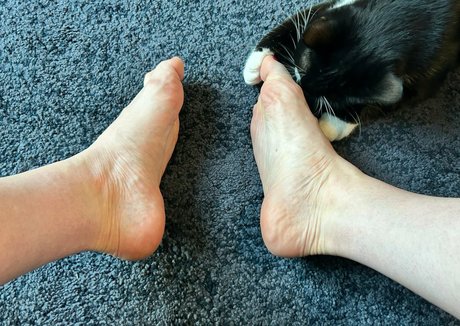 melusina90 最高のスター ギャラリー