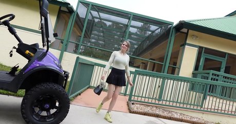 ブラジルの猫オンリーファンズ アダルト 画像