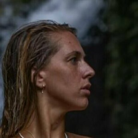 shangerdanger スター 写真