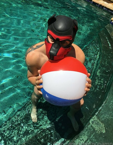 pupamp 素敵なスター 写真